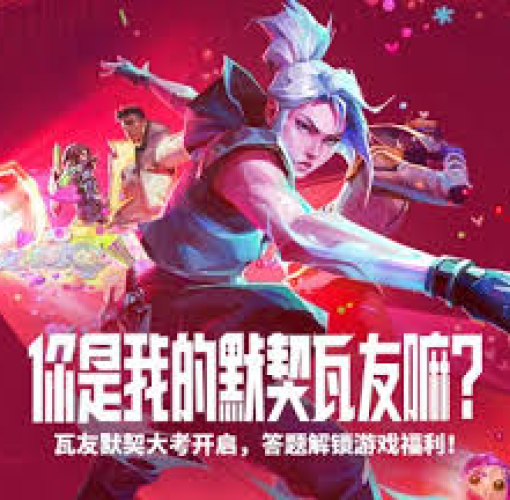 网站首页